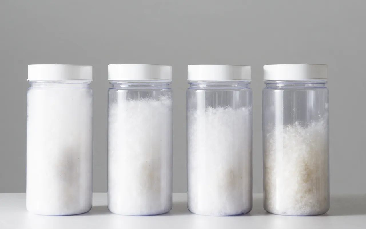 グースとダックの羽毛比較