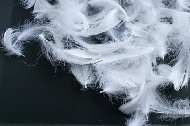 布団の種類と選び方 ～季節と体質で選ぶ最適な一枚～