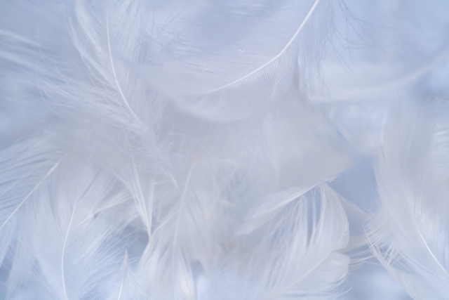 季節ごとの布団の厚みと選び方