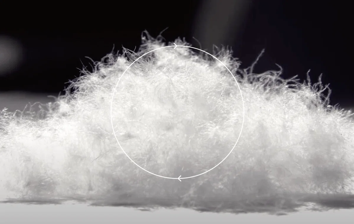 羽毛布団にも、サステナブルを。