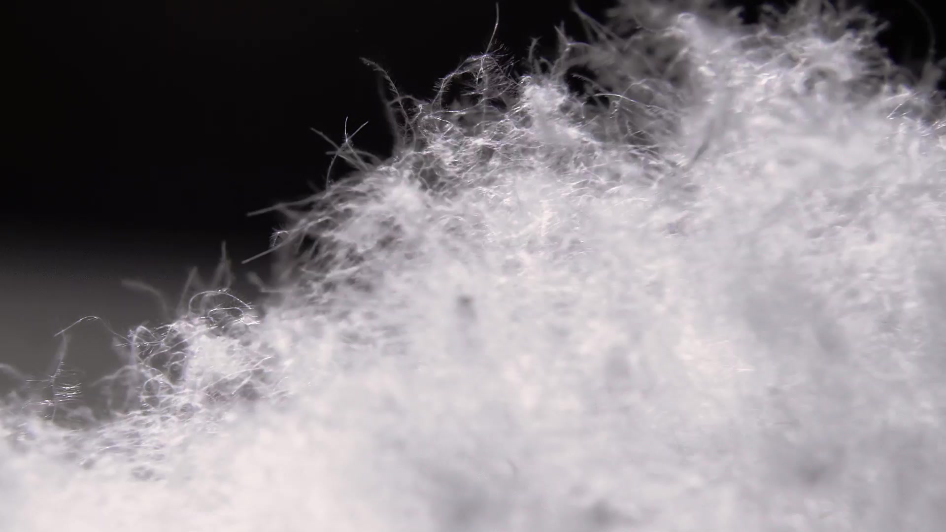 羽毛布団はなぜ暖かいのか