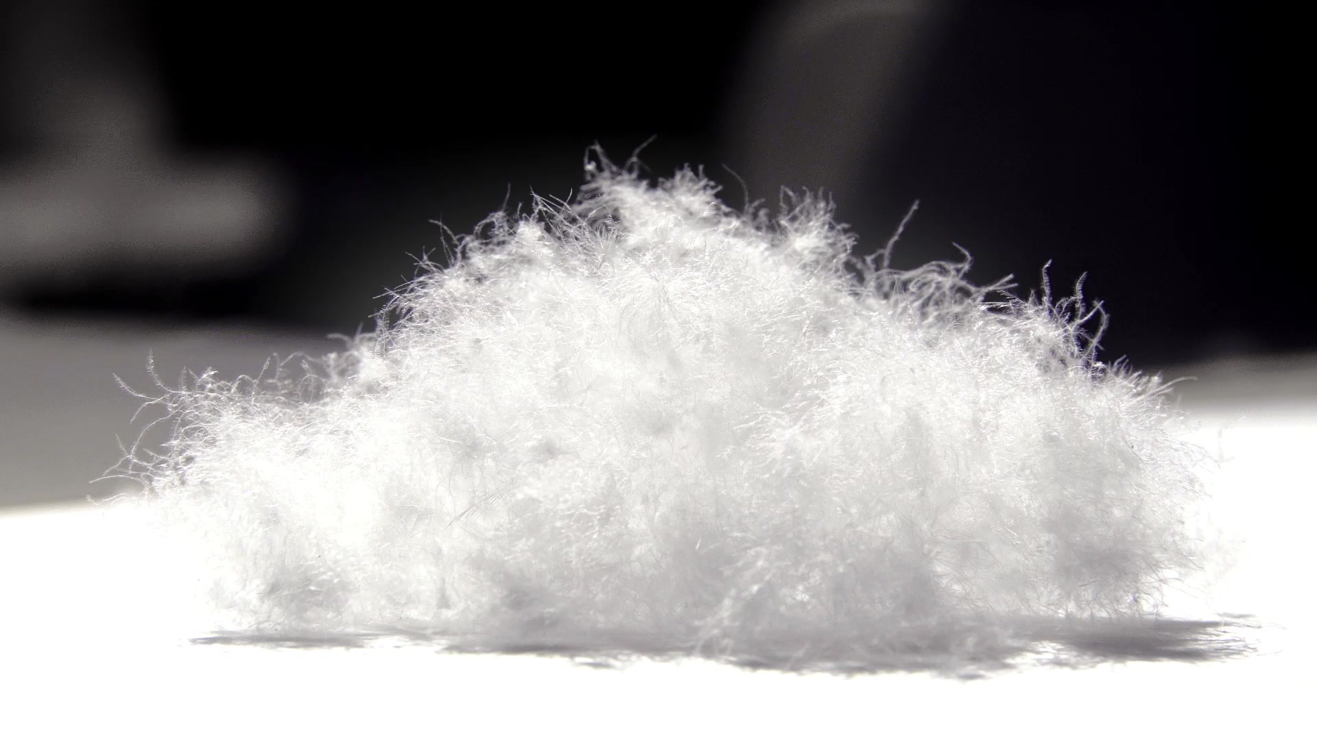 グースダウンボール